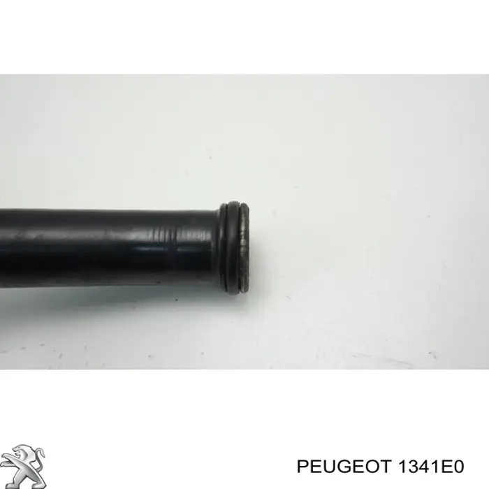 Compre 1341E0 Peugeot/Citroen Mangueira (cano derivado) do sistema de esfriamento