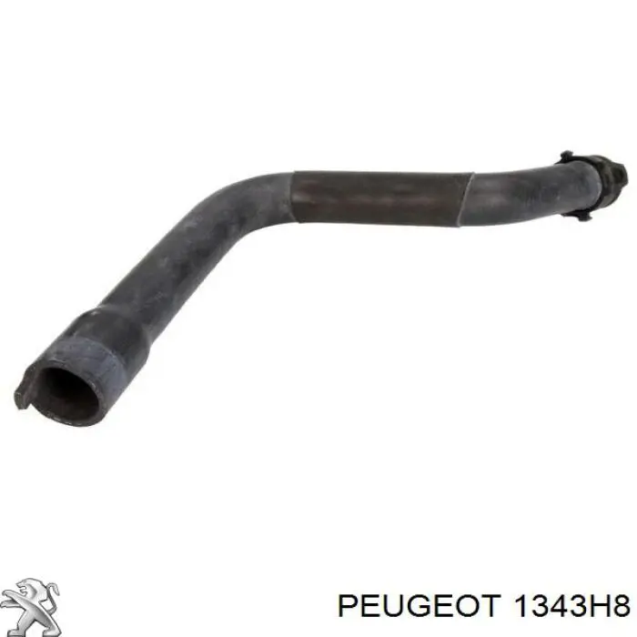 Compre DWP117TT Thermotec Mangueira (cano derivado) do radiador de esfriamento superior