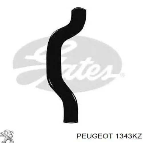 00001343KZ Peugeot/Citroen 