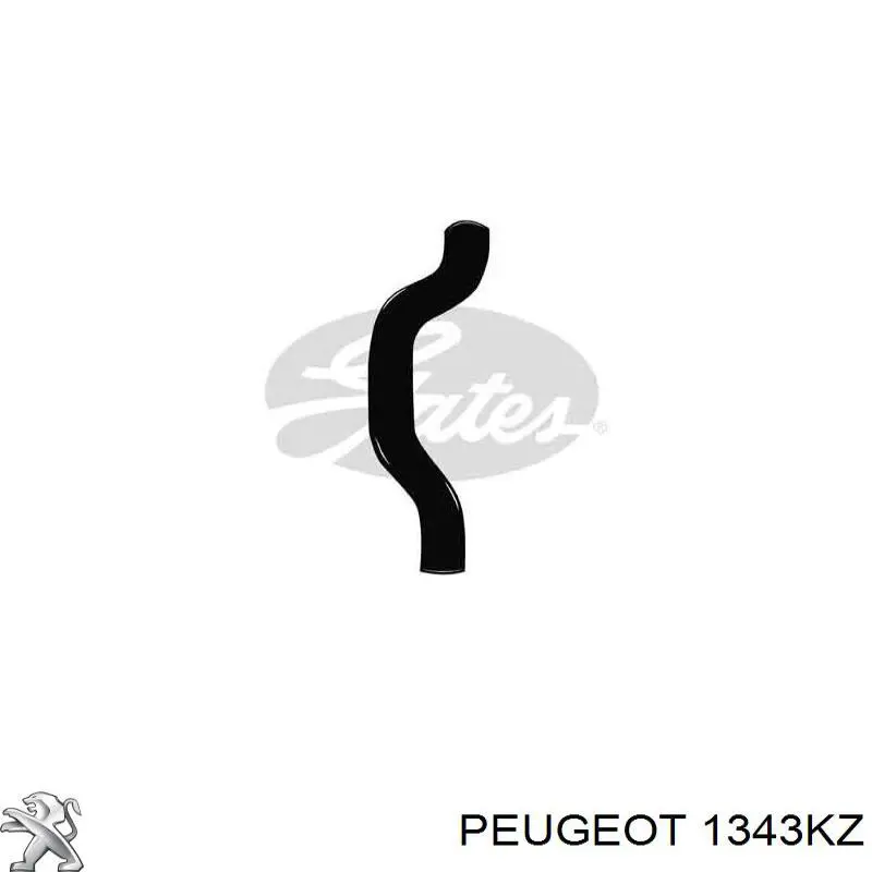 Compre 00001343KZ Peugeot/Citroen 