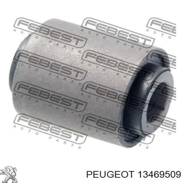 TED58163 Ted-gum Bloco silencioso da barra Panhard (de suspensão traseira)