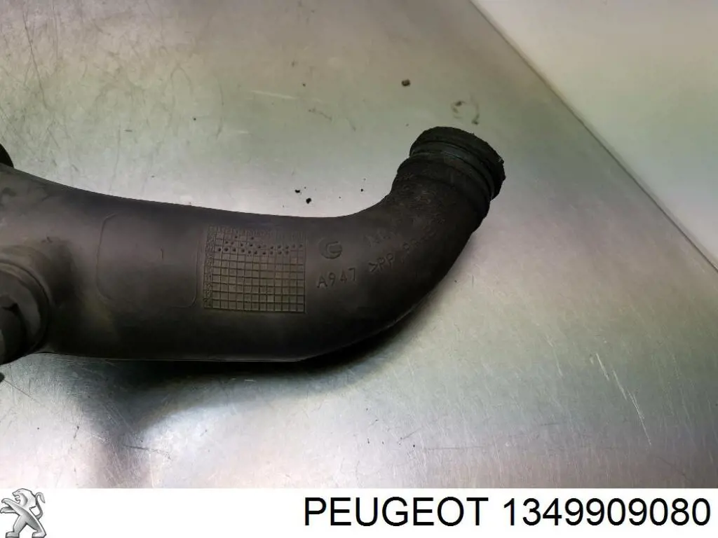 1369007080 Fiat/Alfa/Lancia Cano derivado de ar, saída de filtro de ar
