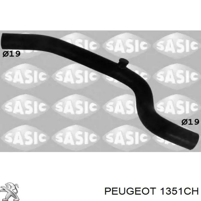 1351CH Peugeot/Citroen Mangueira (cano derivado) inferior do radiador de esfriamento