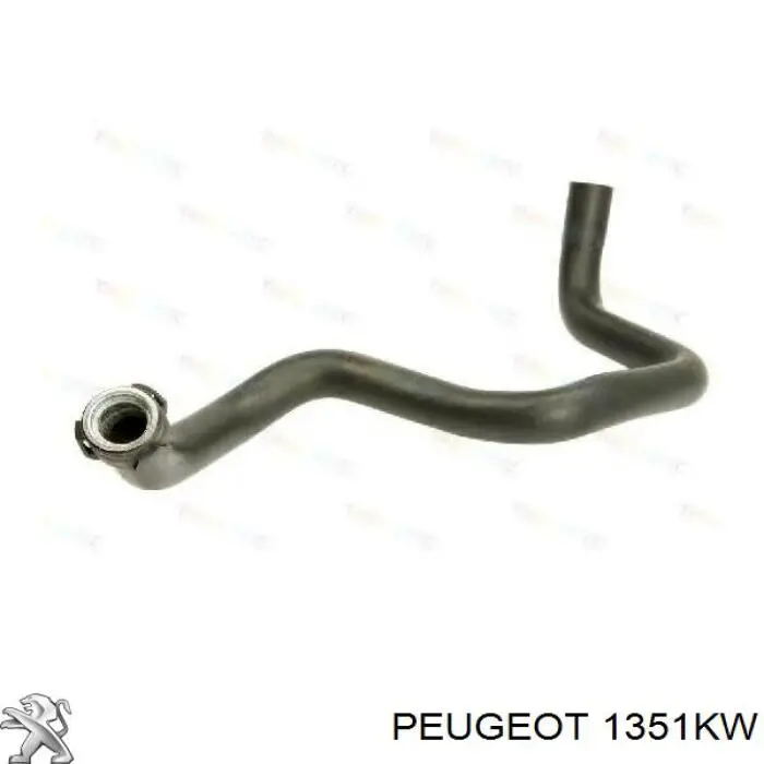 Compre 1351KW Peugeot/Citroen 