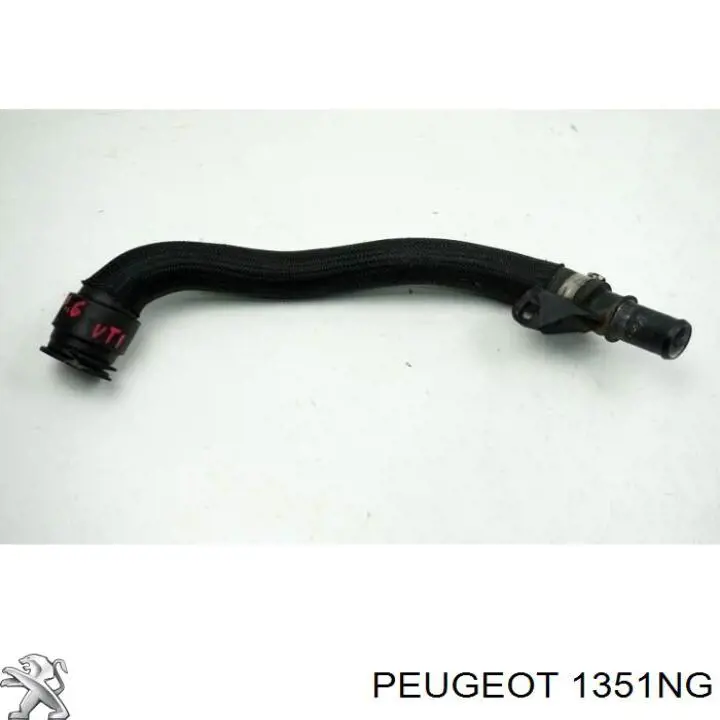 Compre 00001351NG Peugeot/Citroen Mangueira (cano derivado) do sistema de esfriamento