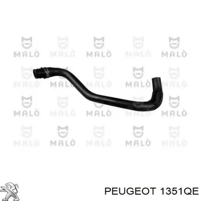 Mangueira (cano derivado) inferior do radiador de esfriamento Peugeot/Citroen 1351QE preço, a partir de 28,37 USD