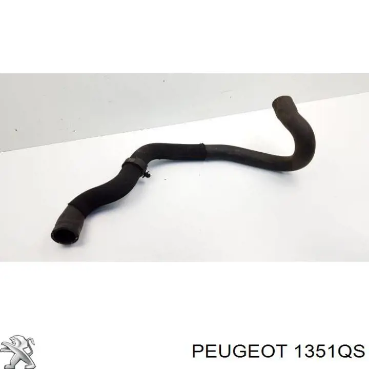Compre T407687 STC Mangueira (cano derivado) inferior do radiador de esfriamento