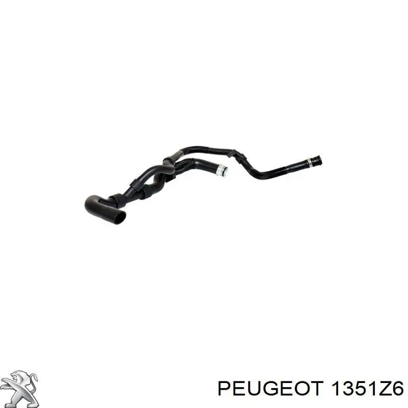 Compre 1351Z6 Peugeot/Citroen Mangueira (cano derivado) inferior do radiador de esfriamento