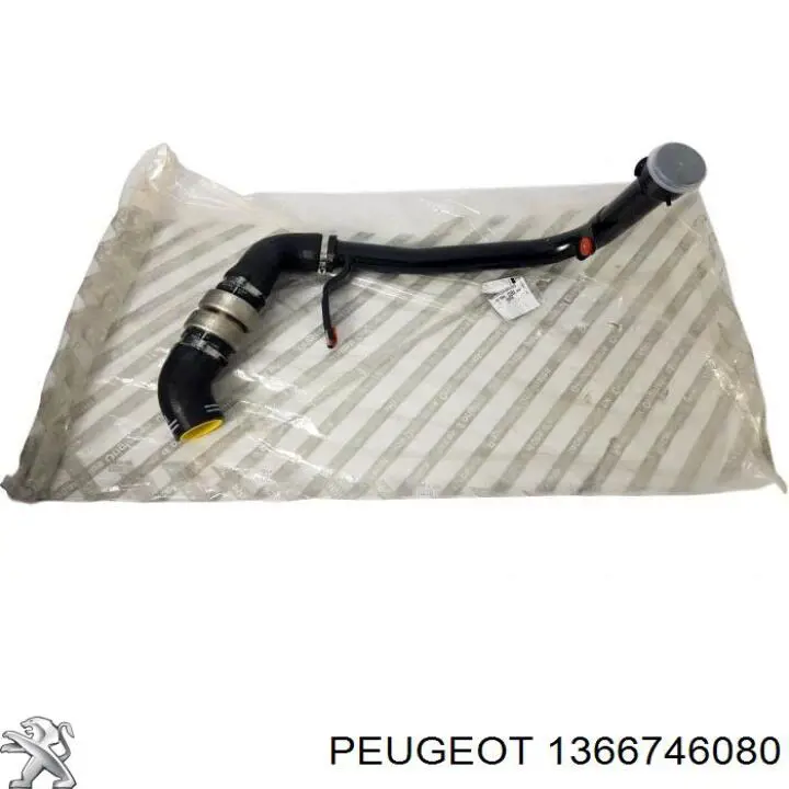 Mangueira (cano derivado) de intercooler Fiat/Alfa/Lancia 1366746080 preço, a partir de 29,26 USD