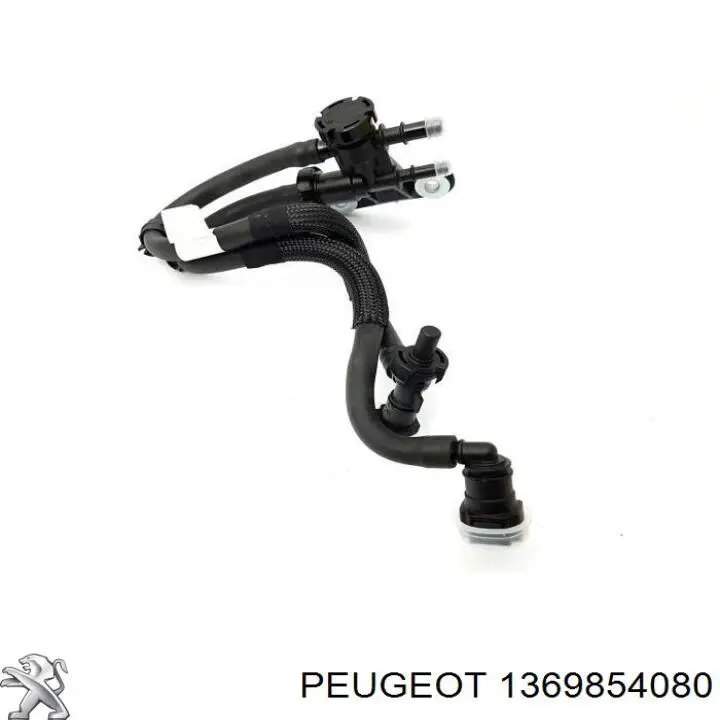 Tubo de combustível desde a bomba de bombeio de combustível até a Bomba de Combustível de Pressão Alta 1369854080 Fiat/Alfa/Lancia