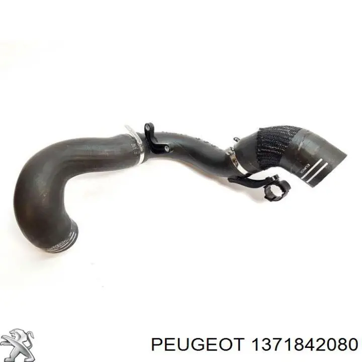 Mangueira (cano derivado) de intercooler 1371842080 Fiat/Alfa/Lancia