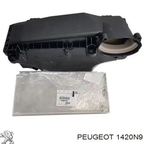 1420N9 Peugeot/Citroen Caixa de filtro de ar