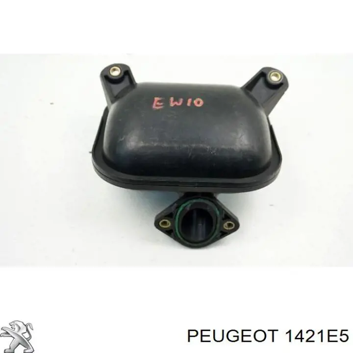 1421E5 Peugeot/Citroen 