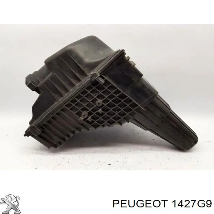 Caixa de filtro de ar para Peugeot 607  9D, 9U