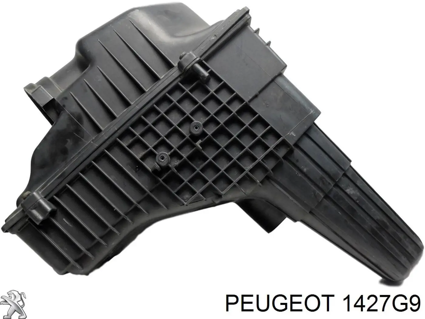 Caixa de filtro de ar Peugeot 607  9D, 9U