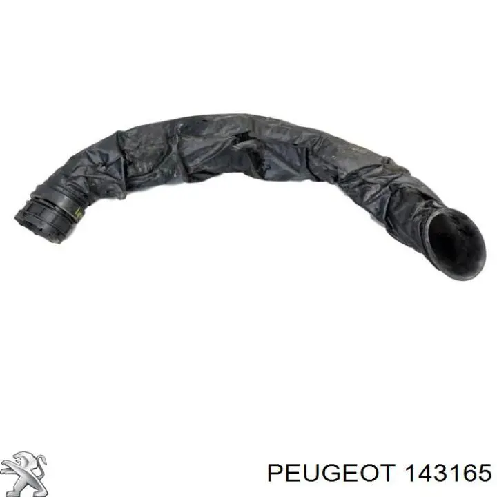 Compre N10583501 VAG Cápsula (prendedor) de fixação de grelha do radiador de esfriamento
