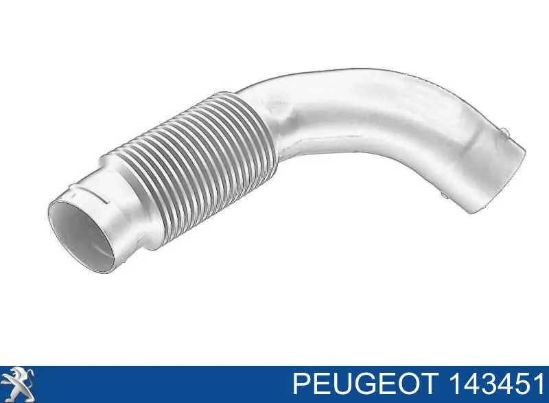 143451 Peugeot/Citroen Cano derivado de ar, entrada de filtro de ar