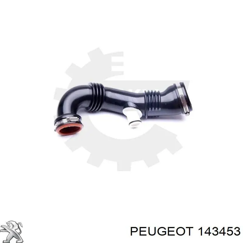 Cano derivado de ar, saída de filtro de ar Peugeot/Citroen 143453 preço, a partir de 30,89 USD