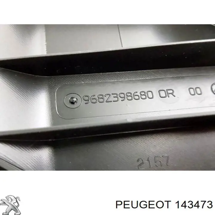  Tomada de ar de filtro de ar Peugeot 307 hatchback (3A, 3C) (2000 - 2012) 
