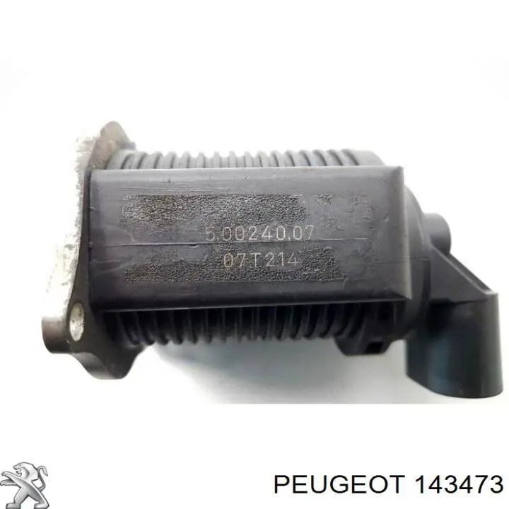 Tomada de ar de filtro de ar Peugeot 307  3A, 3C