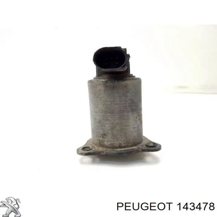143478 Peugeot/Citroen Cano derivado de ar, saída de filtro de ar