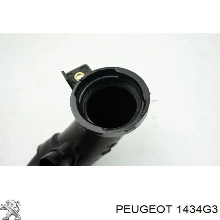 1434G3 Peugeot/Citroen Cano derivado de ar, entrada na turbina (supercompressão)