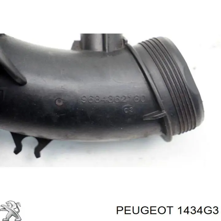 Compre 1434G3 Peugeot/Citroen Cano derivado de ar, entrada na turbina (supercompressão)