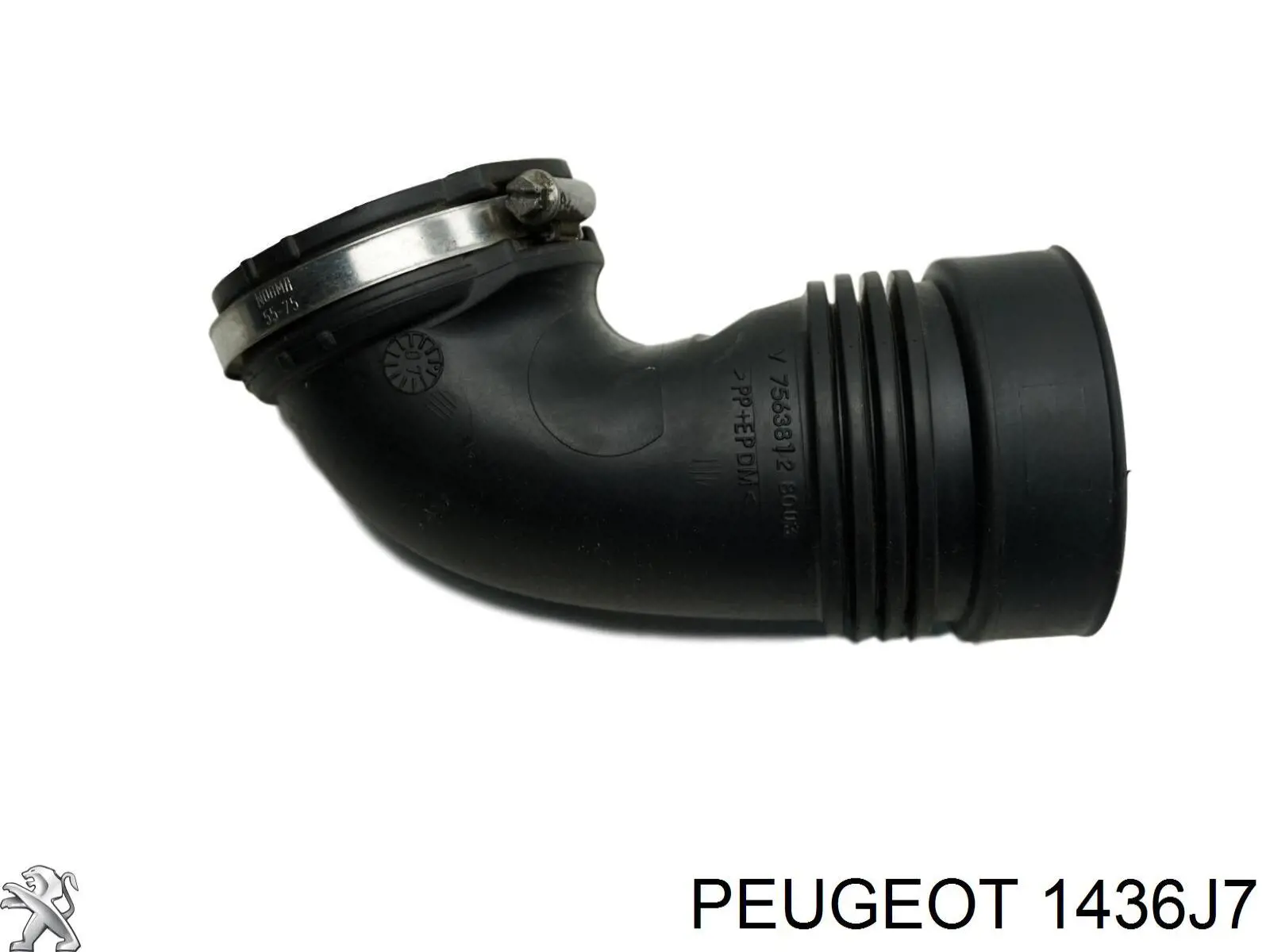 1436J7 Peugeot/Citroen Cano derivado de ar, saída de filtro de ar