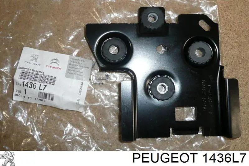 1436L7 Peugeot/Citroen 