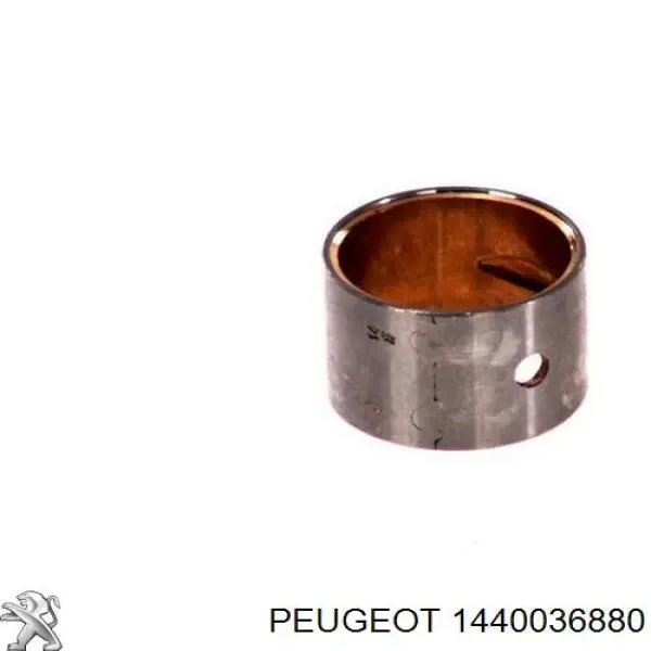 1440036880 Peugeot/Citroen Gancho de reboque