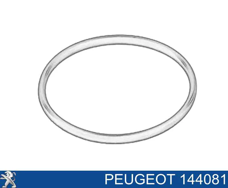 144081 Peugeot/Citroen Anel de cano derivado de turbina, de ar comprimido