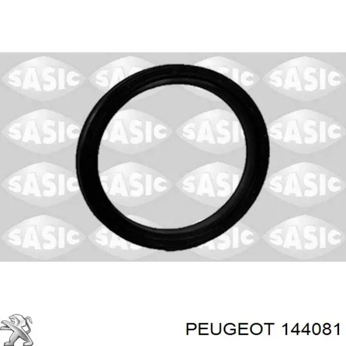 Compre 144081 Peugeot/Citroen Anel de cano derivado de turbina, de ar comprimido