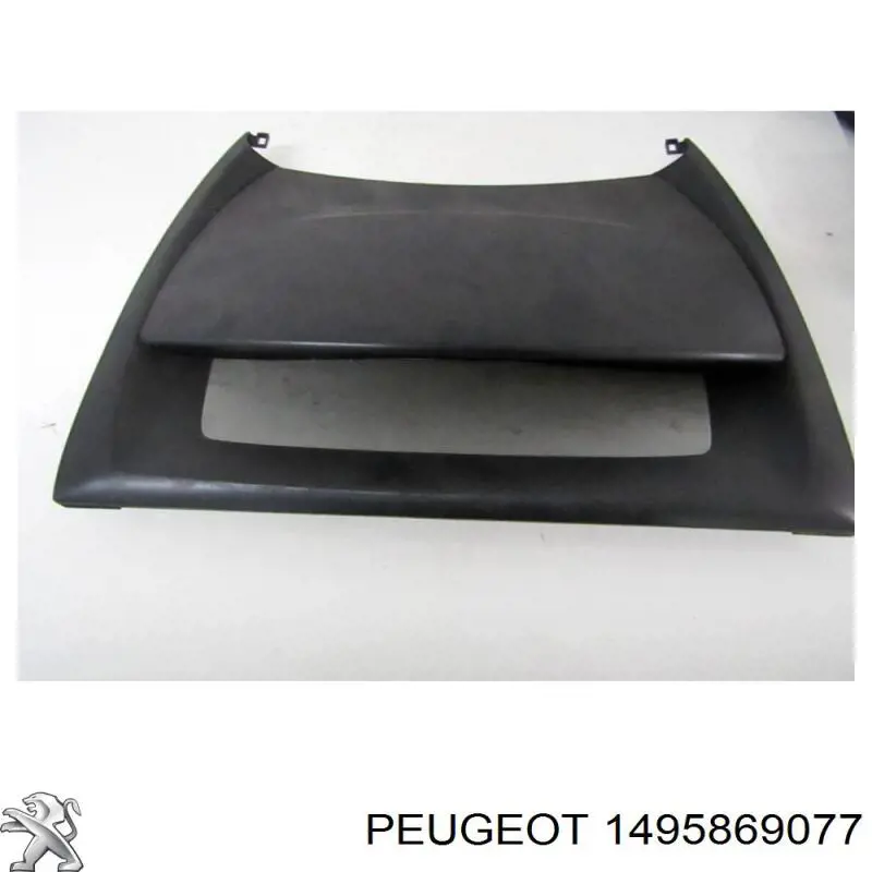  Peugeot/Citroen 1495869077