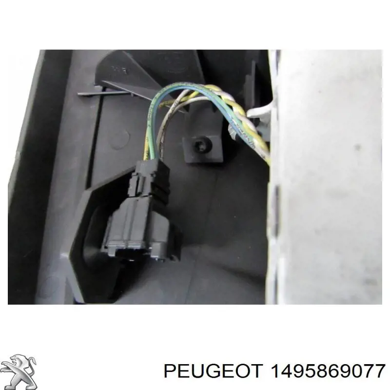 1495869077 Peugeot/Citroen 