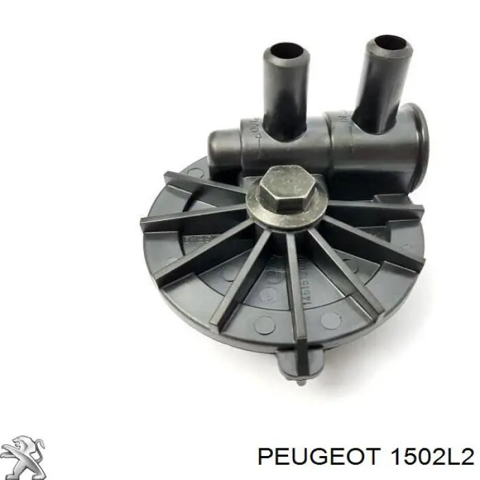Compre 00001502K0 Peugeot/Citroen Adsorvedor dos vapores de combustível