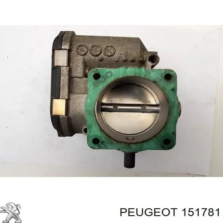 Alcapão do tanque de combustível Peugeot 607  9D, 9U