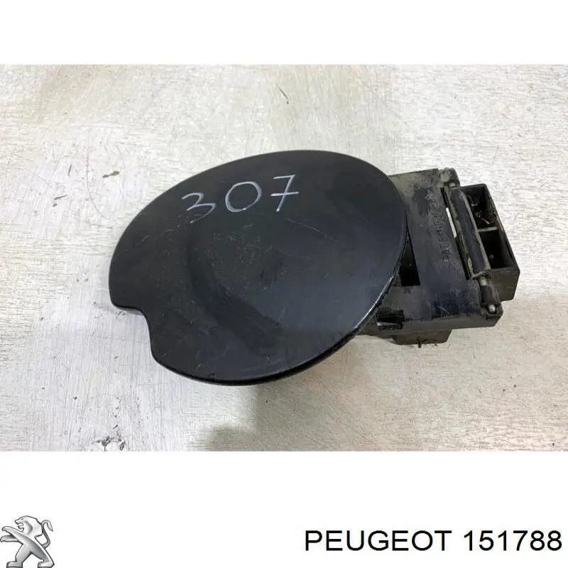 Alcapão do tanque de combustível para Peugeot 307  3A, 3C