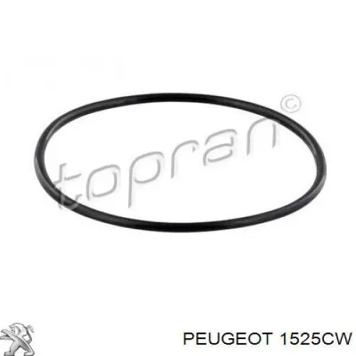 Módulo de bomba de combustível com sensor do nível de combustível Peugeot/Citroen 1525CW preço, a partir de 71,23 USD