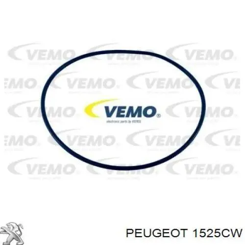 Compre 1525CW Peugeot/Citroen Módulo de bomba de combustível com sensor do nível de combustível