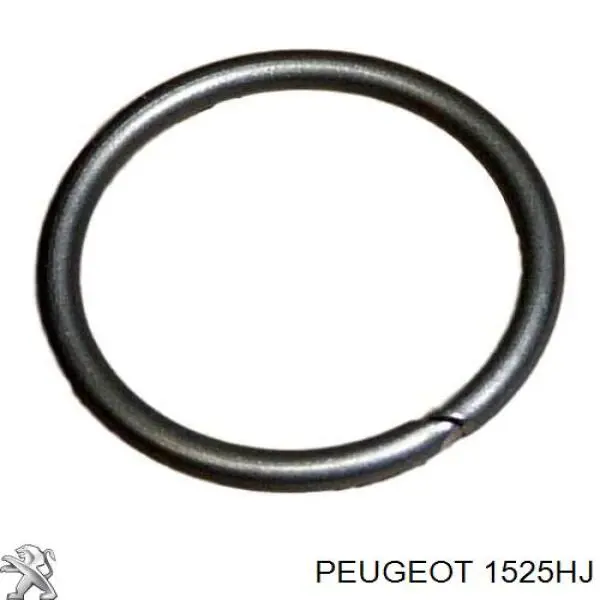 1525HJ Peugeot/Citroen Módulo de bomba de combustível com sensor do nível de combustível
