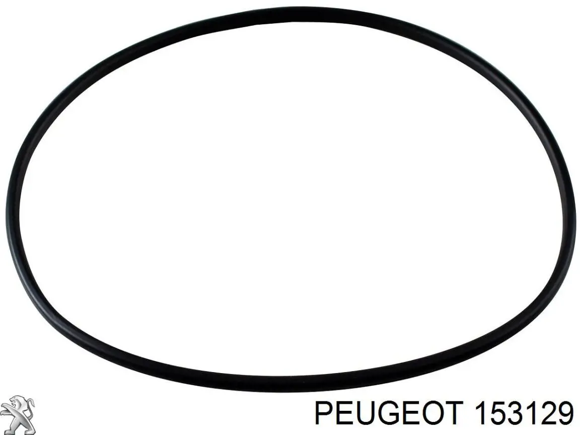 Compactador da bomba de combustível Peugeot/Citroen 153129 preço, a partir de 3,40 USD