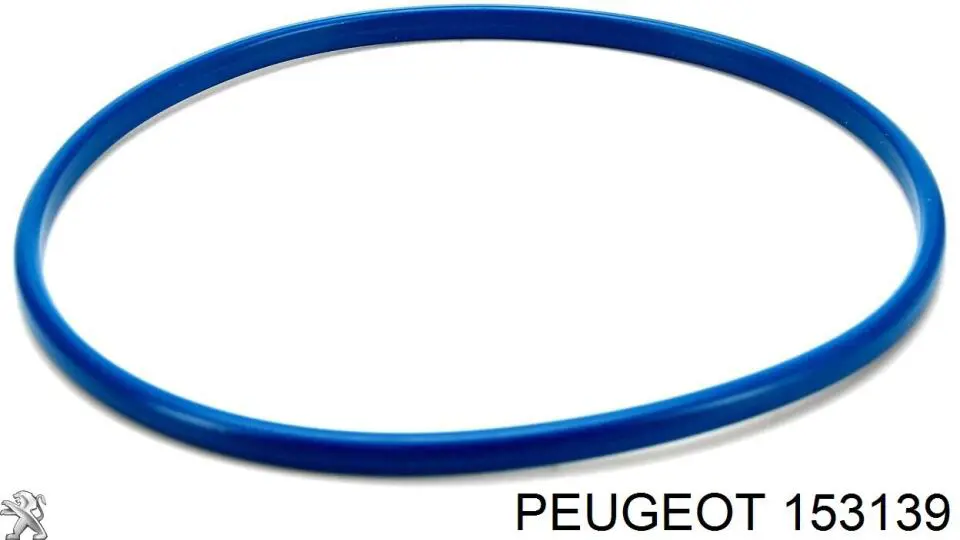 Compactador da bomba de combustível Peugeot/Citroen 153139 preço, a partir de 22,06 USD