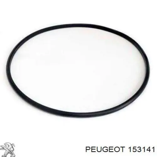 Compre 3638294 Peugeot/Citroen Compactador da bomba de combustível