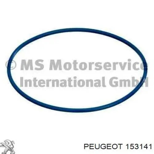 Compre 153141 Peugeot/Citroen Compactador da bomba de combustível