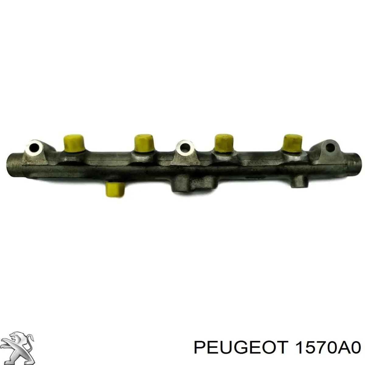 1570A0 Peugeot/Citroen Distribuidor de combustível (rampa)