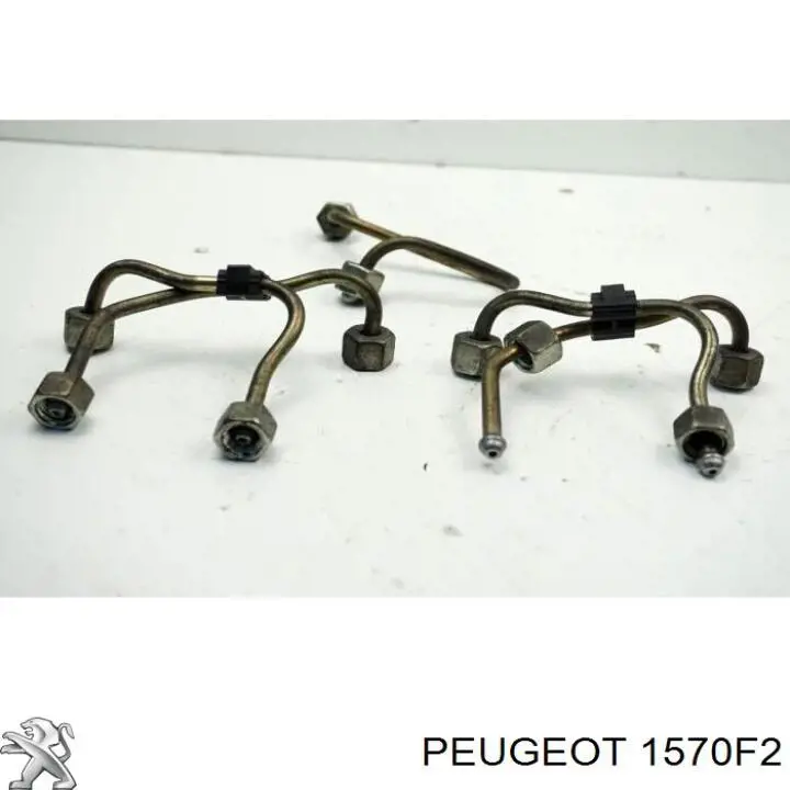 00001570F2 Peugeot/Citroen 
