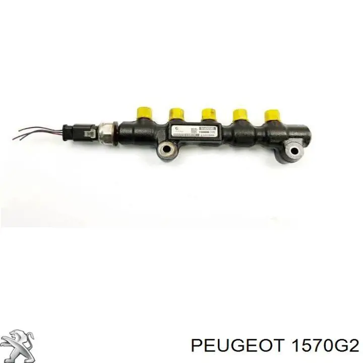 Compre 00001570G2 Peugeot/Citroen Distribuidor de combustível (rampa)