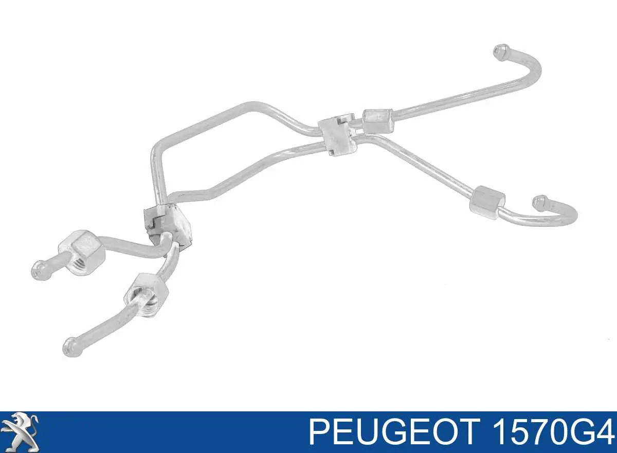 1570G4 Peugeot/Citroen Tubo de combustível, kit