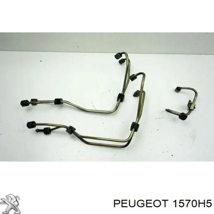 1570H5 Peugeot/Citroen Tubo de combustível, desde a Bomba de Combustível de Pressão Alta até a sonda de combustível