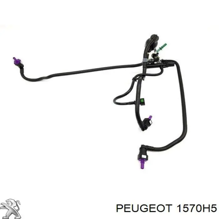 Compre 1570H5 Peugeot/Citroen Tubo de combustível, desde a Bomba de Combustível de Pressão Alta até a sonda de combustível